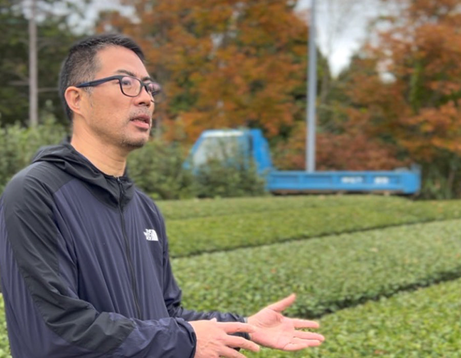 Basic Information of Japanese Tea and OSADA TEA