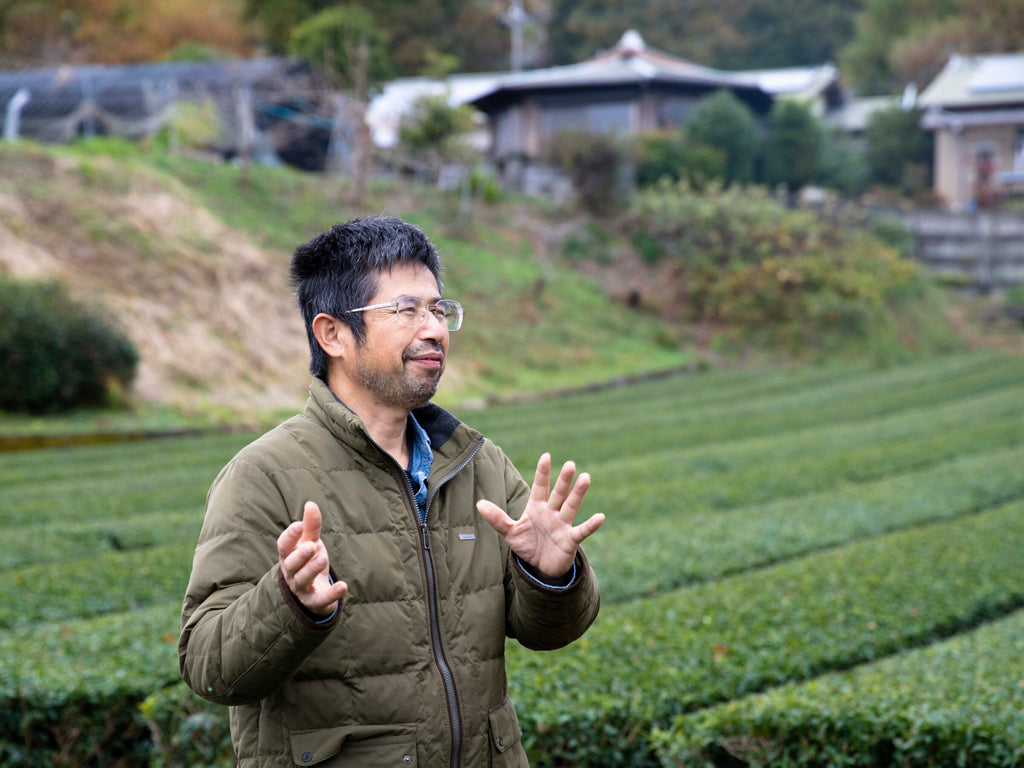 Do you know about Japanese Oolong tea?