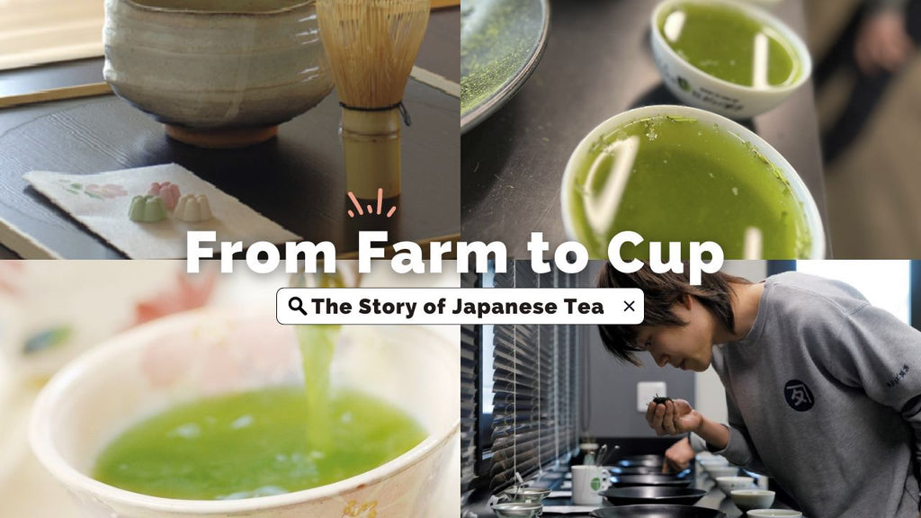 From Farm to Cup: The Story of Japanese Tea Production