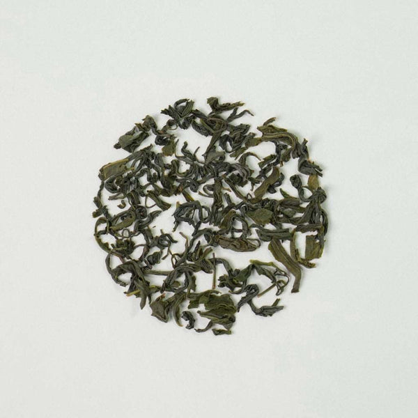 OT-29-1-_1_grande.jpg?v=1673502768