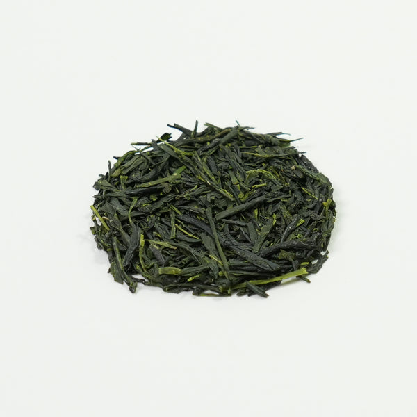 SE-10L OSADA オサダ SE-10L OSADA オサダ SE10L OSADA オサダ 【公式通販】