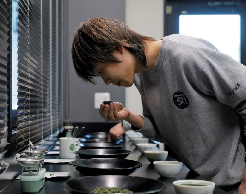 Japanese Tea Harvesting and Evaluating