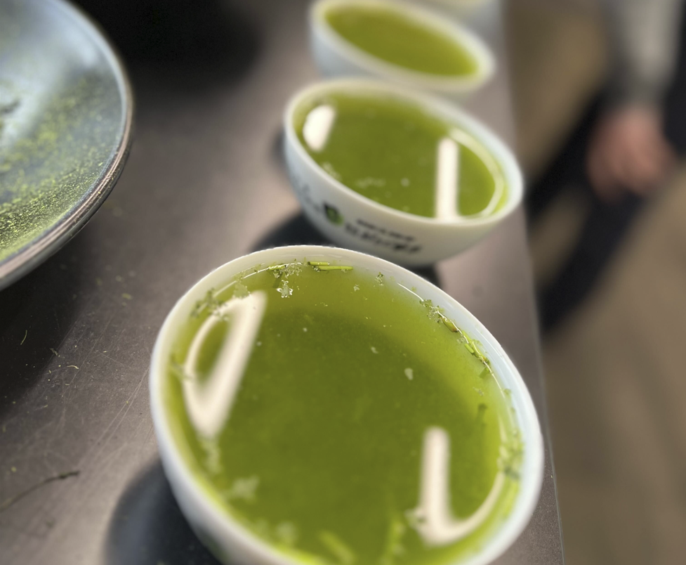 Sencha Tea: A Delightful and Nutritious Japanese Tea Experience