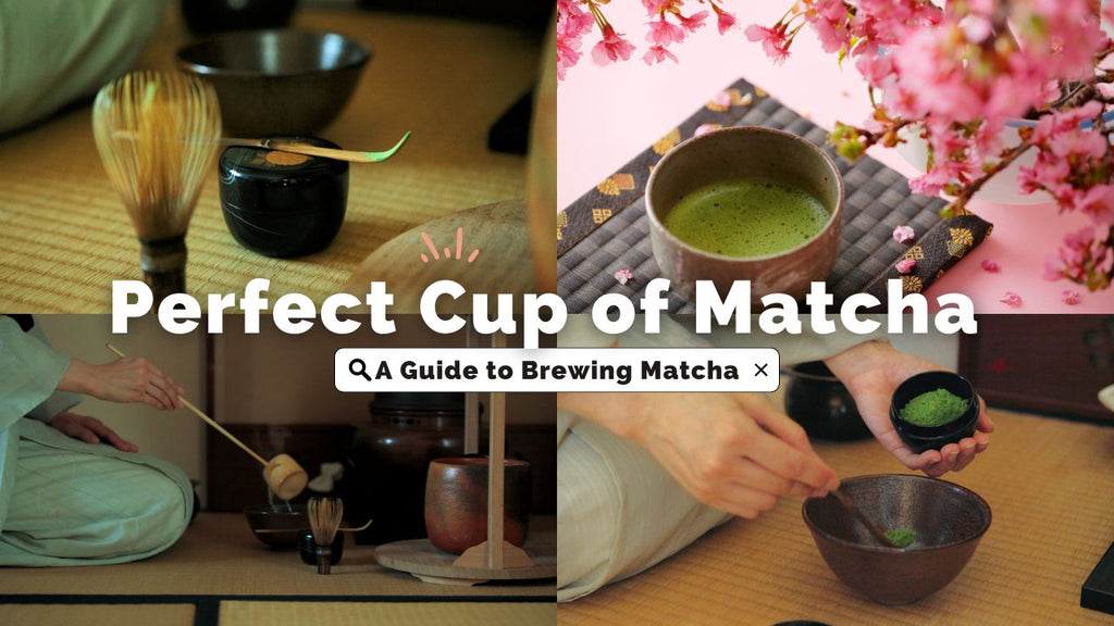A Guide to Brewing the Perfect Cup of Matcha