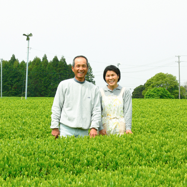 Japanese Single Origin Tea