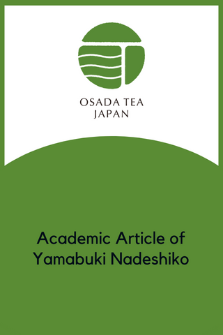 [OTD-02] Academic Article of Yamabuki Nadeshiko
