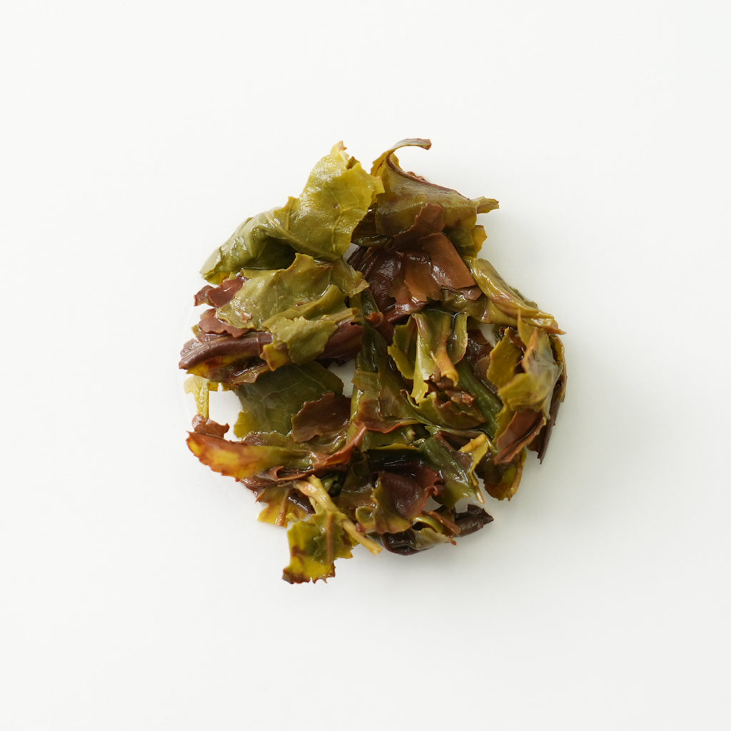 OG OOLONGTEA KURASAWA (30g/1oz) – Osada Tea Japan